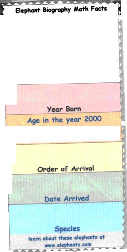 math card back