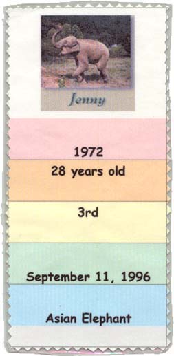 math card front